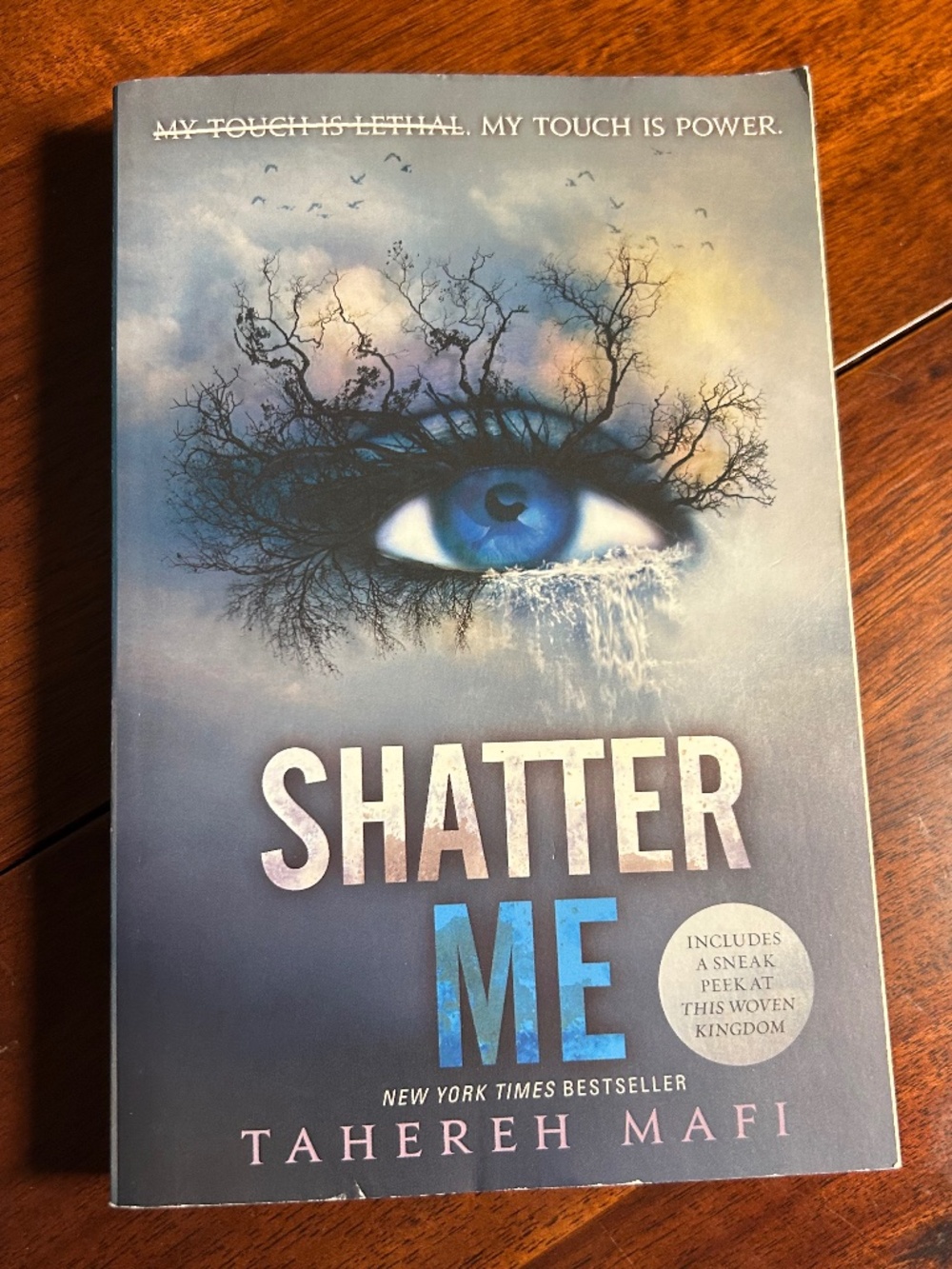 Shatter Me by Tahereh Mafi Paperback Annotated Pre-owned BookTok